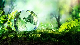 Environmental-law-trees-green-globe-earth-glass-green-grass-climate-change