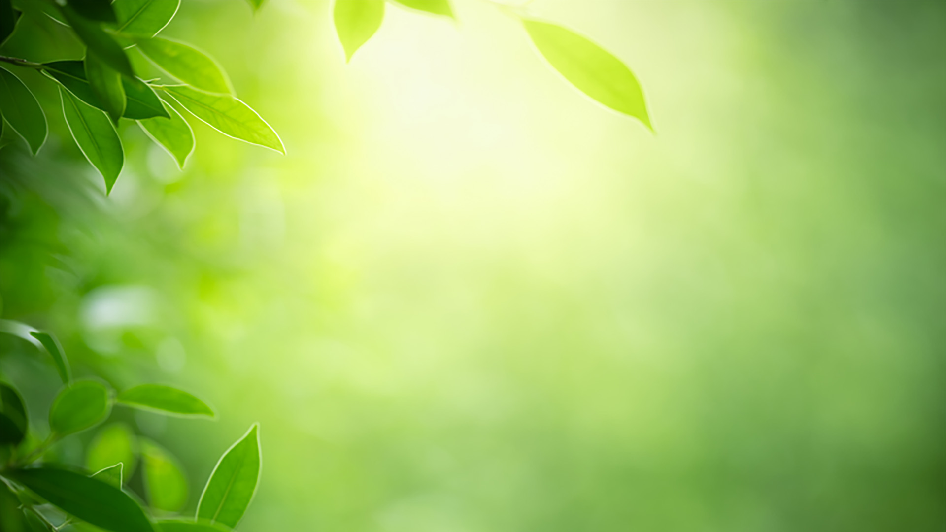 Environmental marketing claims update