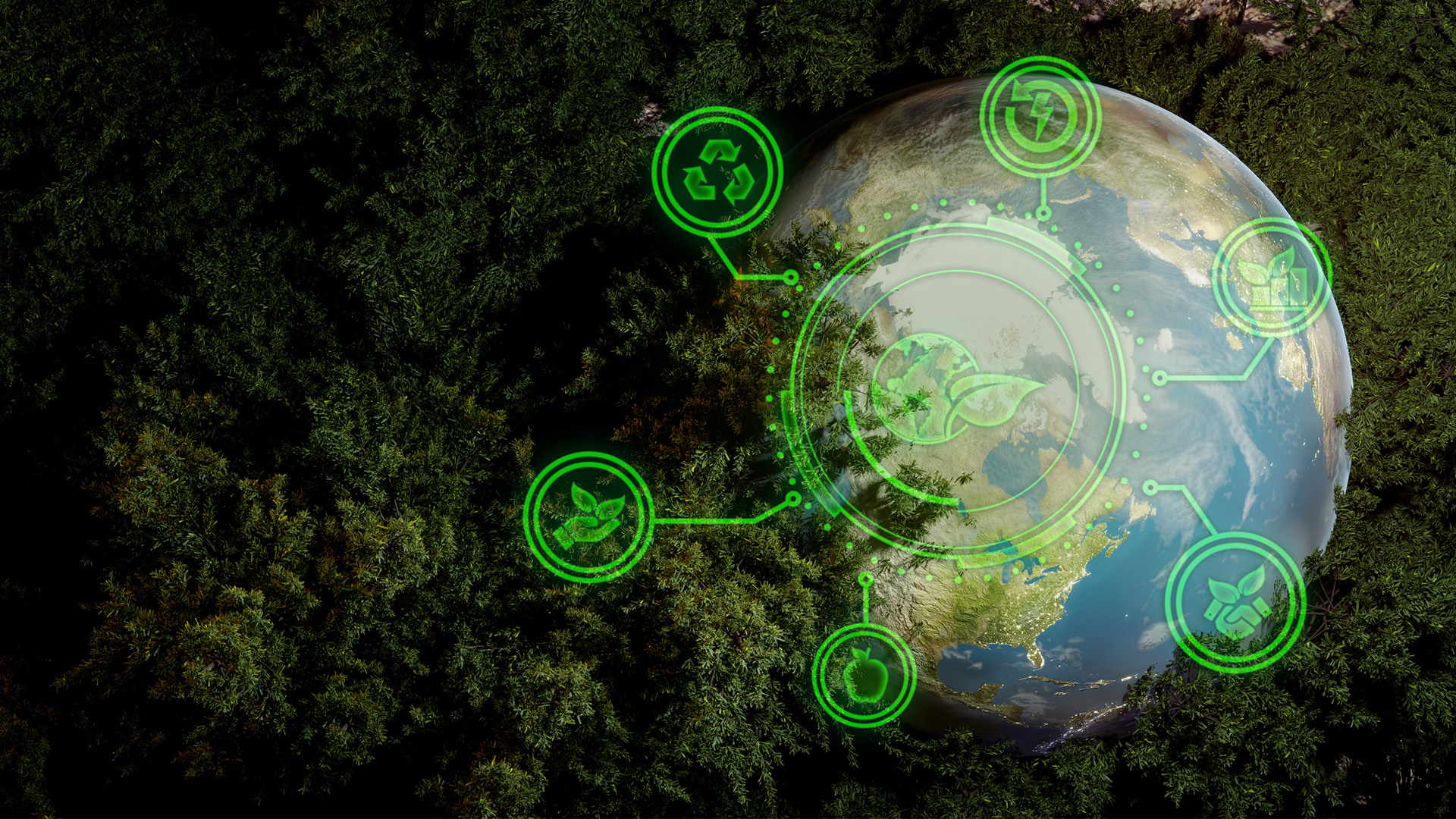 NRF Client Briefing: Introduction of the new digital waste tracking service
