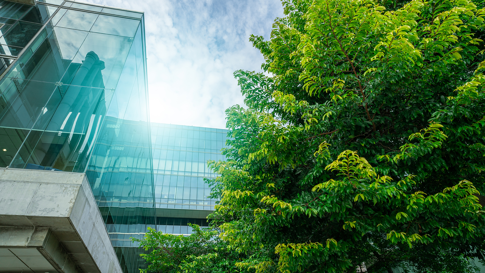 HKEx's commitment to sustainability: The new phase of paperless regulatory reform