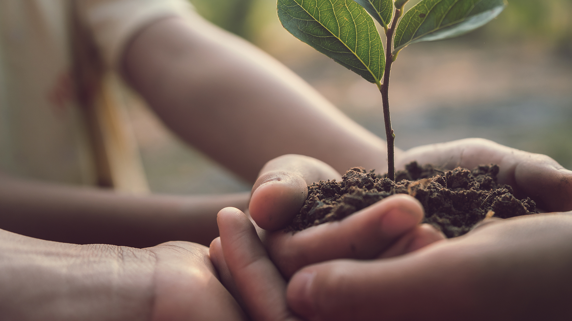 ESG-environment-tree-nature-climate-change-AdobeStock_317185876