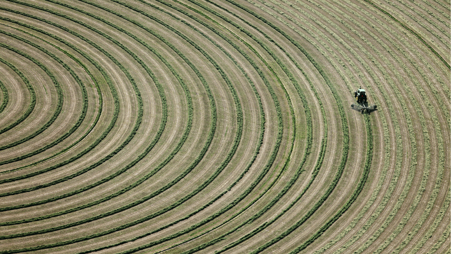 sowing field