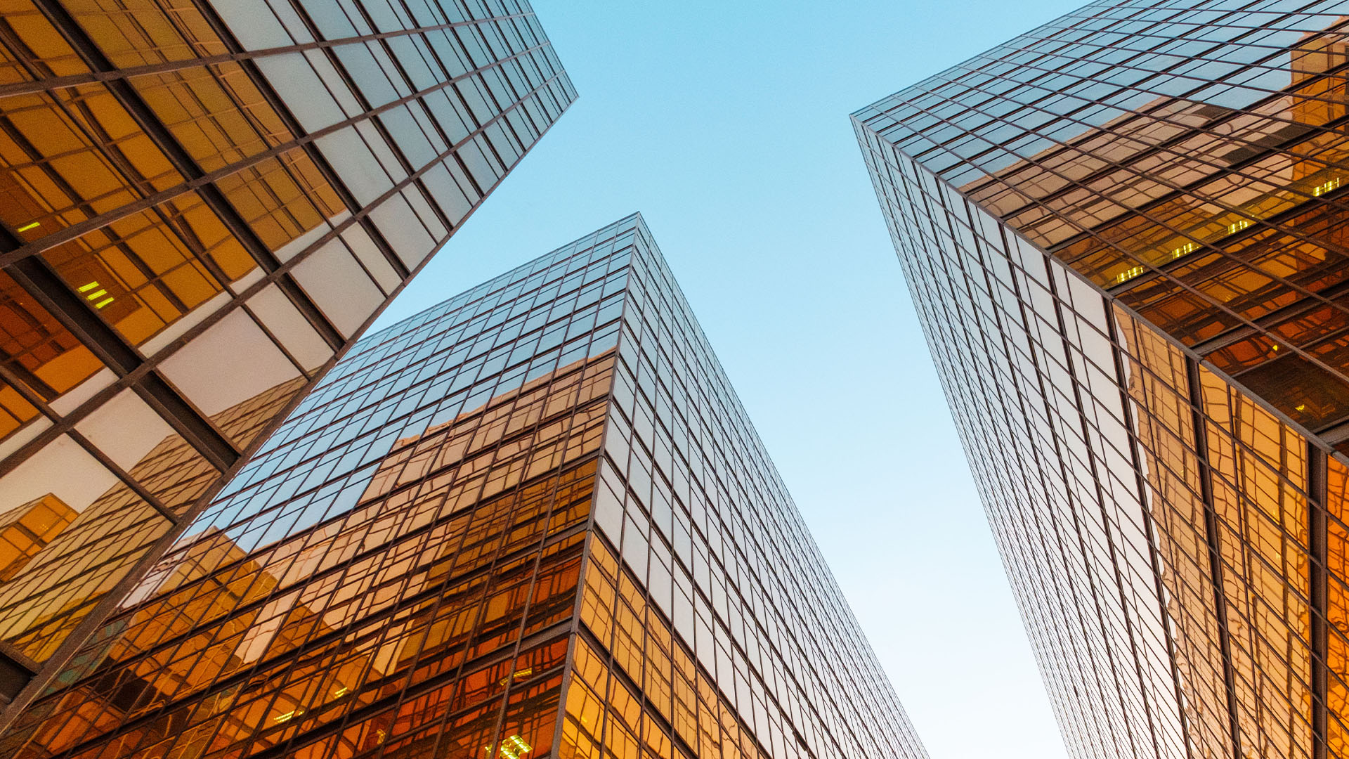 Financial services wrap: February 2025