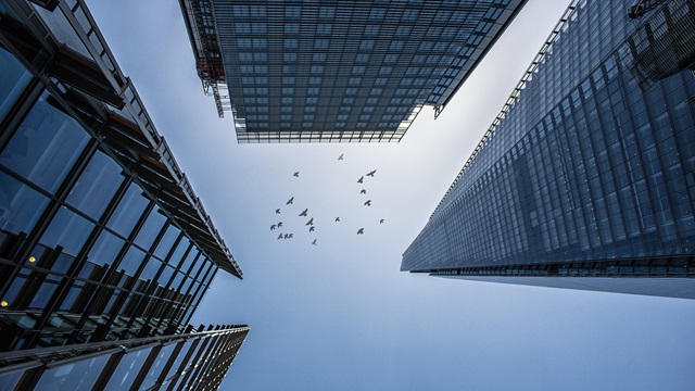 Generic-buidling-birds-freedom-offices-AdobeStock_405641980