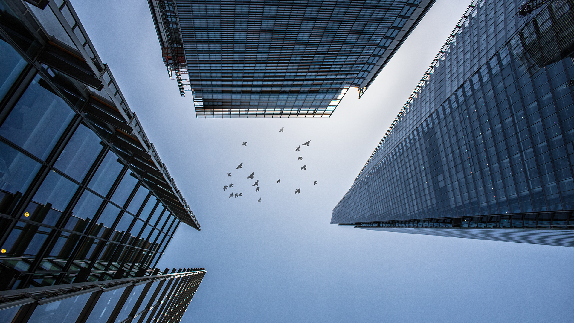 New EU Product Recall Requirements under the General Product Safety Regulation: What do companies need to know?