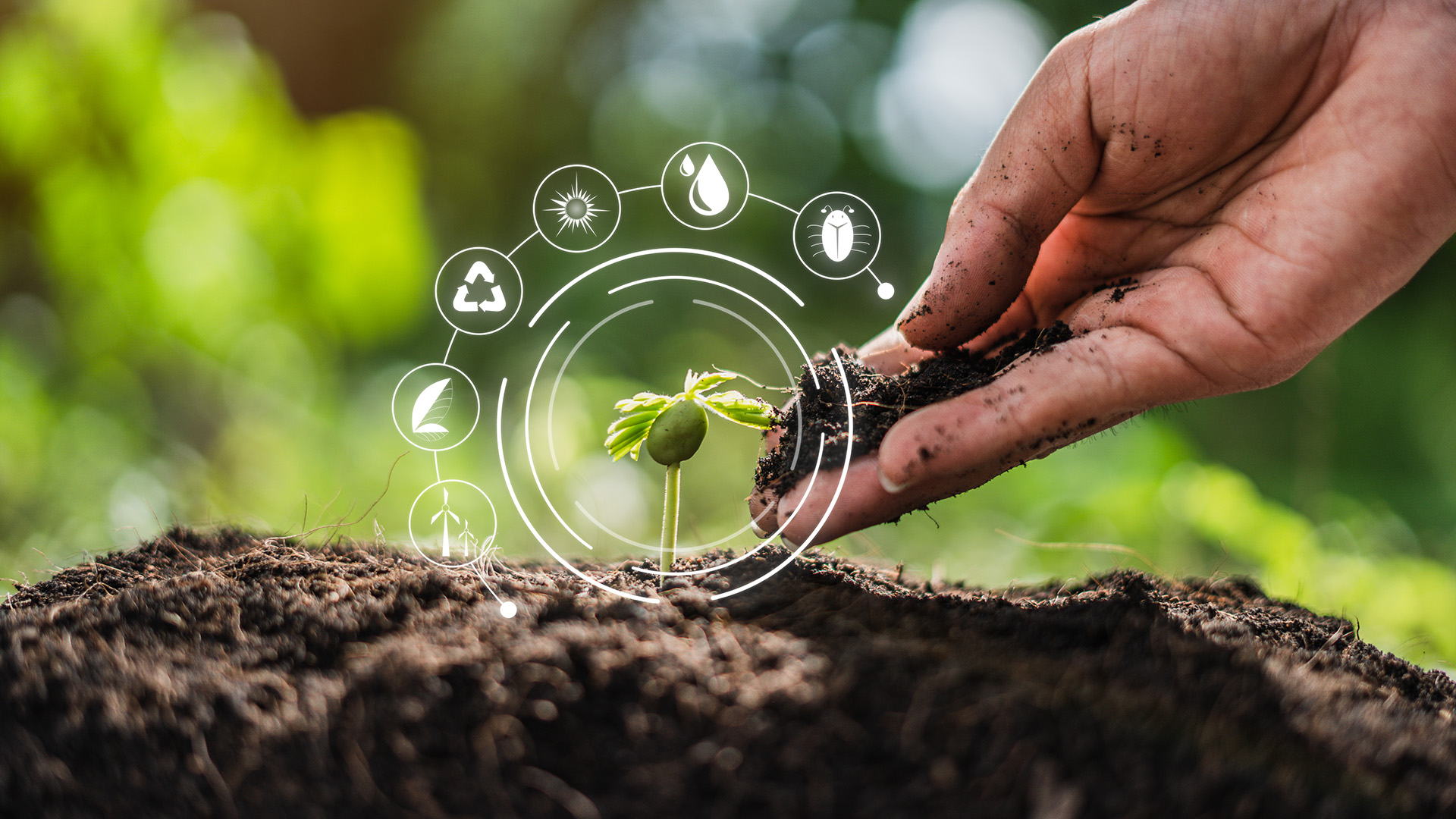 green-plant-hand-land-energy-AdobeStock_521676742