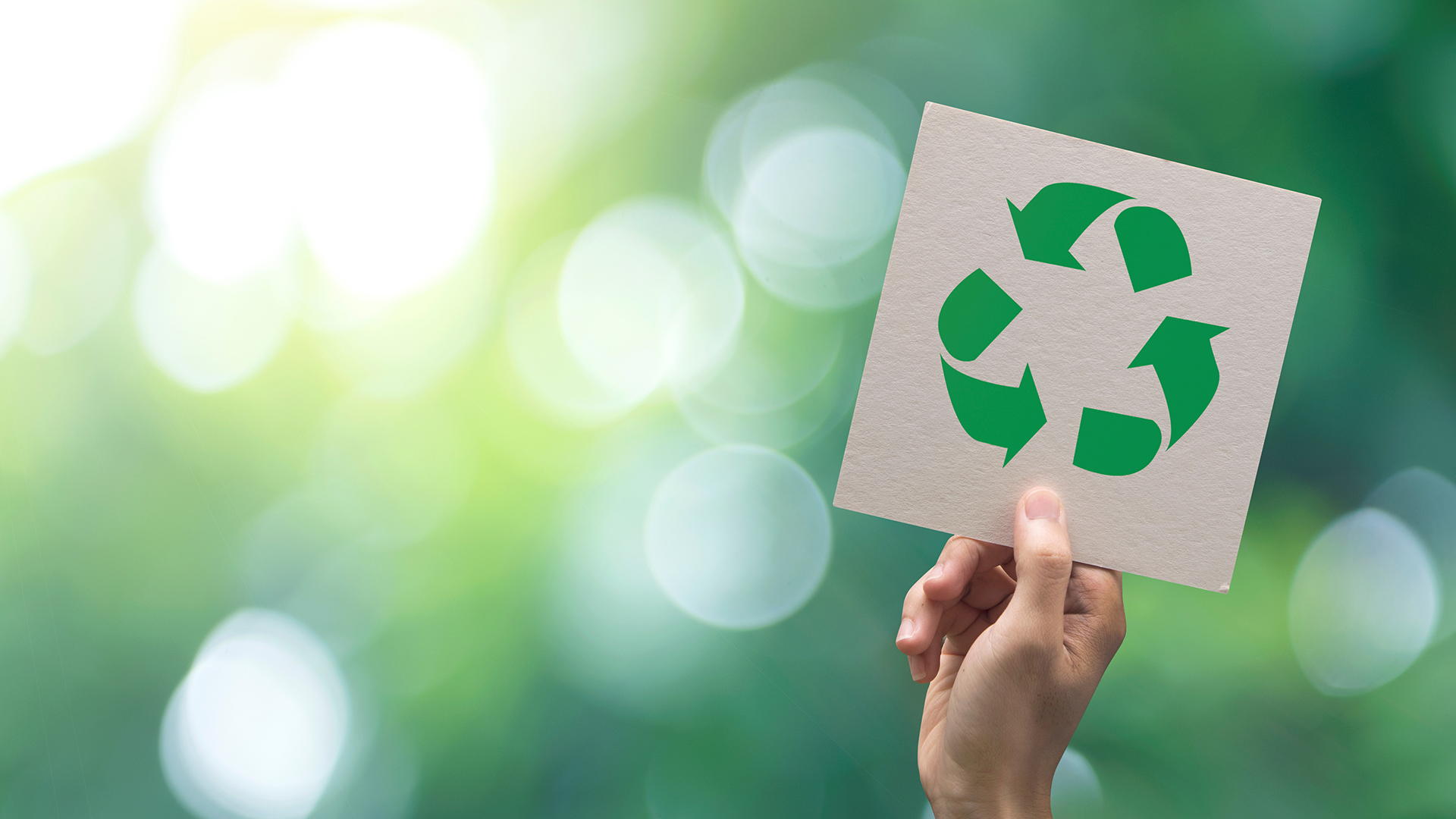 Consultation opens on new Circular Economy Regulations: Mitigating risks to essential waste services 