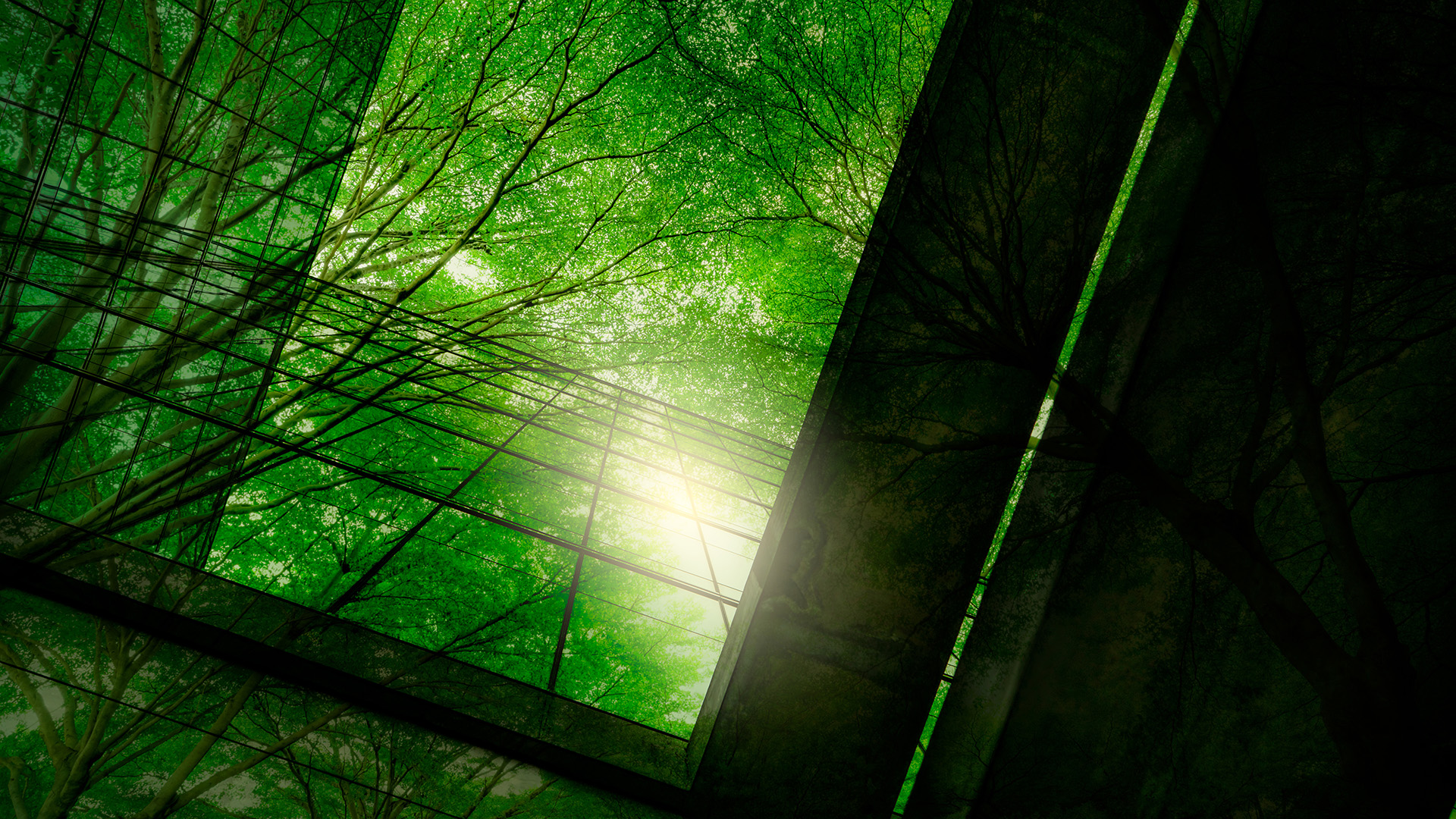 Amendments to <em> Competition Act </em> could result in greenhushing