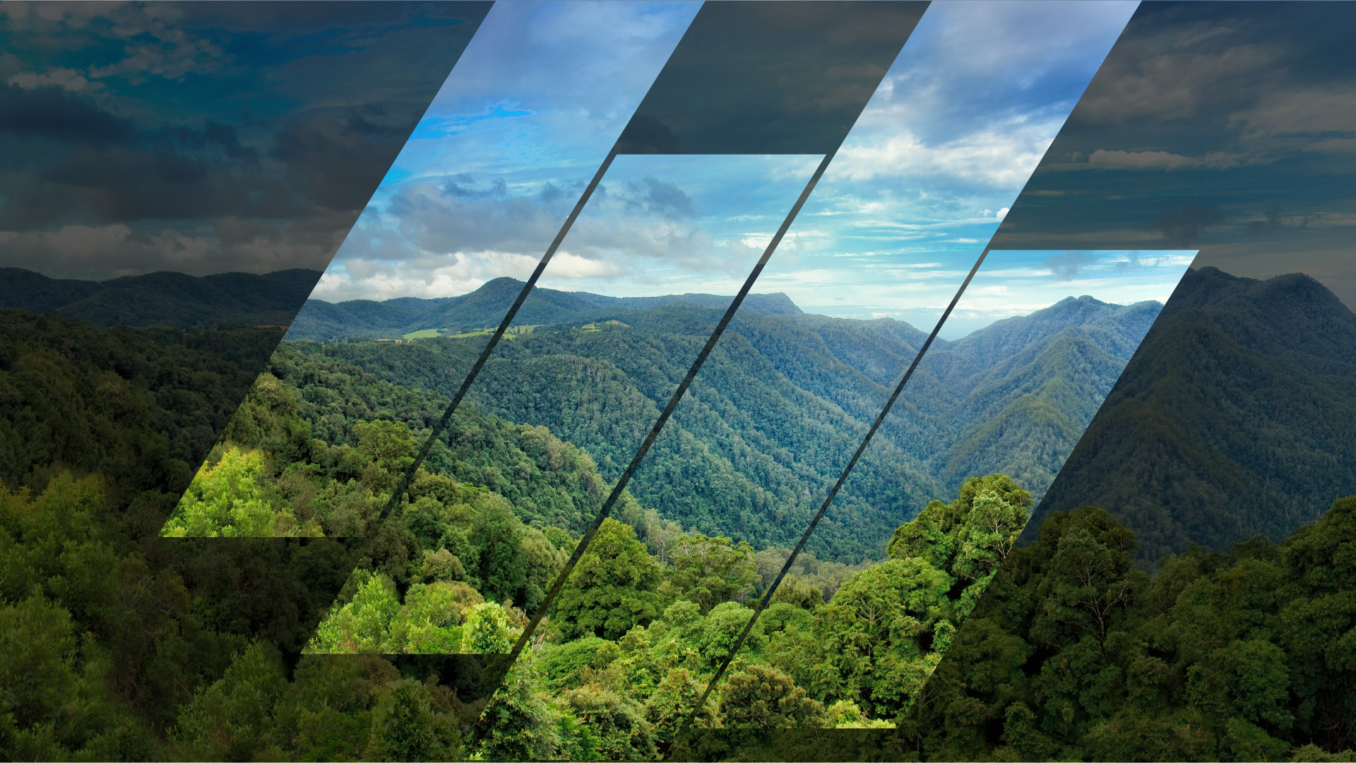 Draft Core Carbon Principles for the Voluntary Carbon Market released