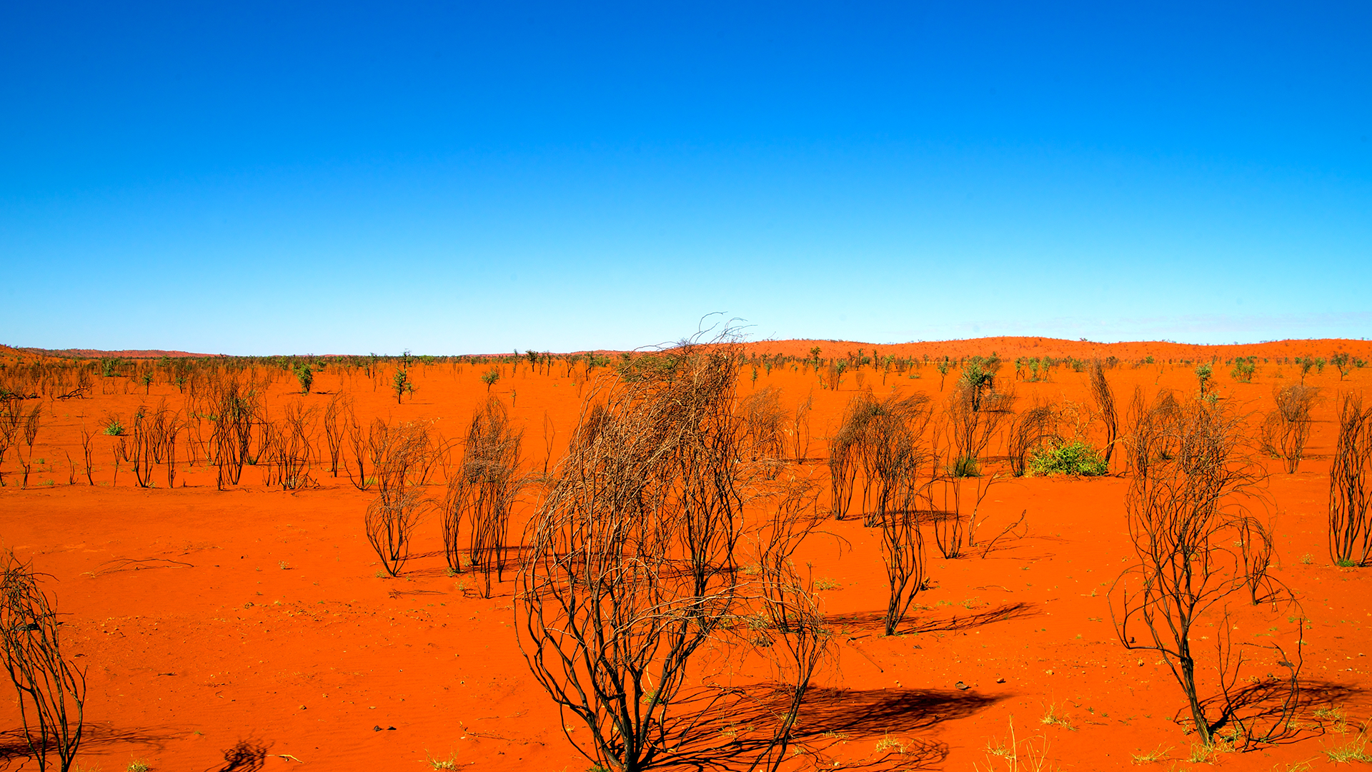 Horizon-moss-sunset-rock-sky
