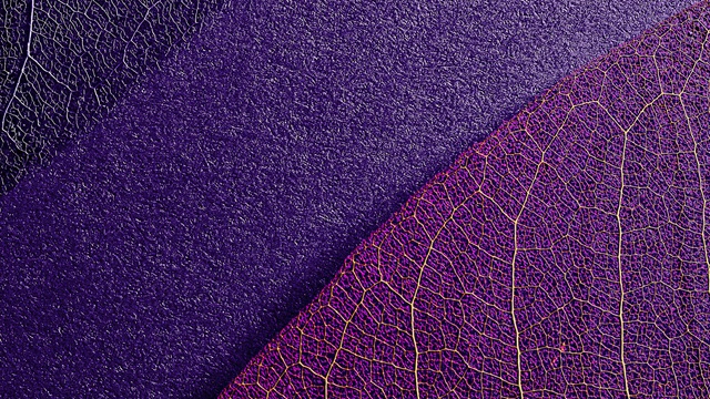 purple leaf