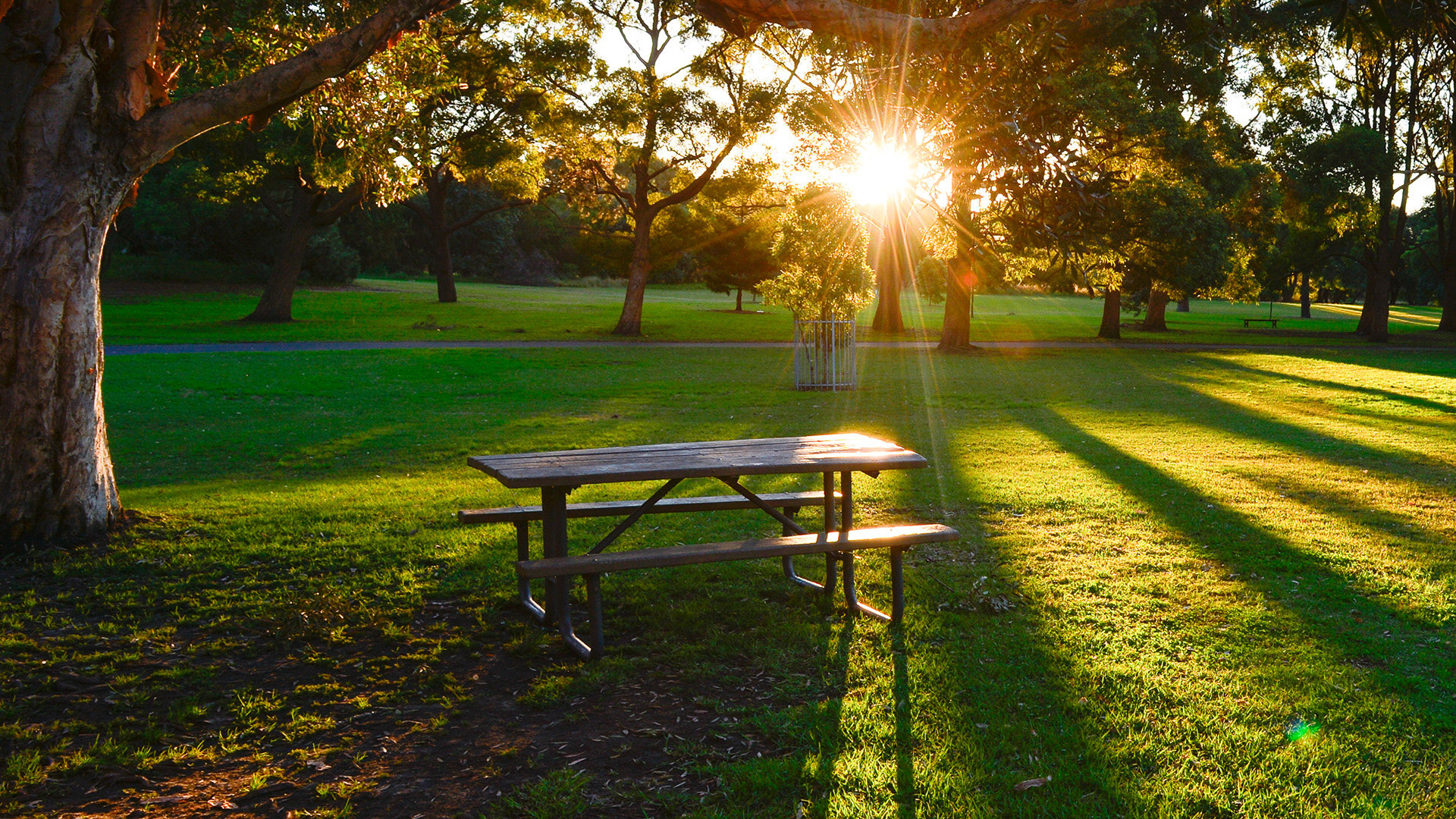 Land-environment-park-AdobeStock_114241957