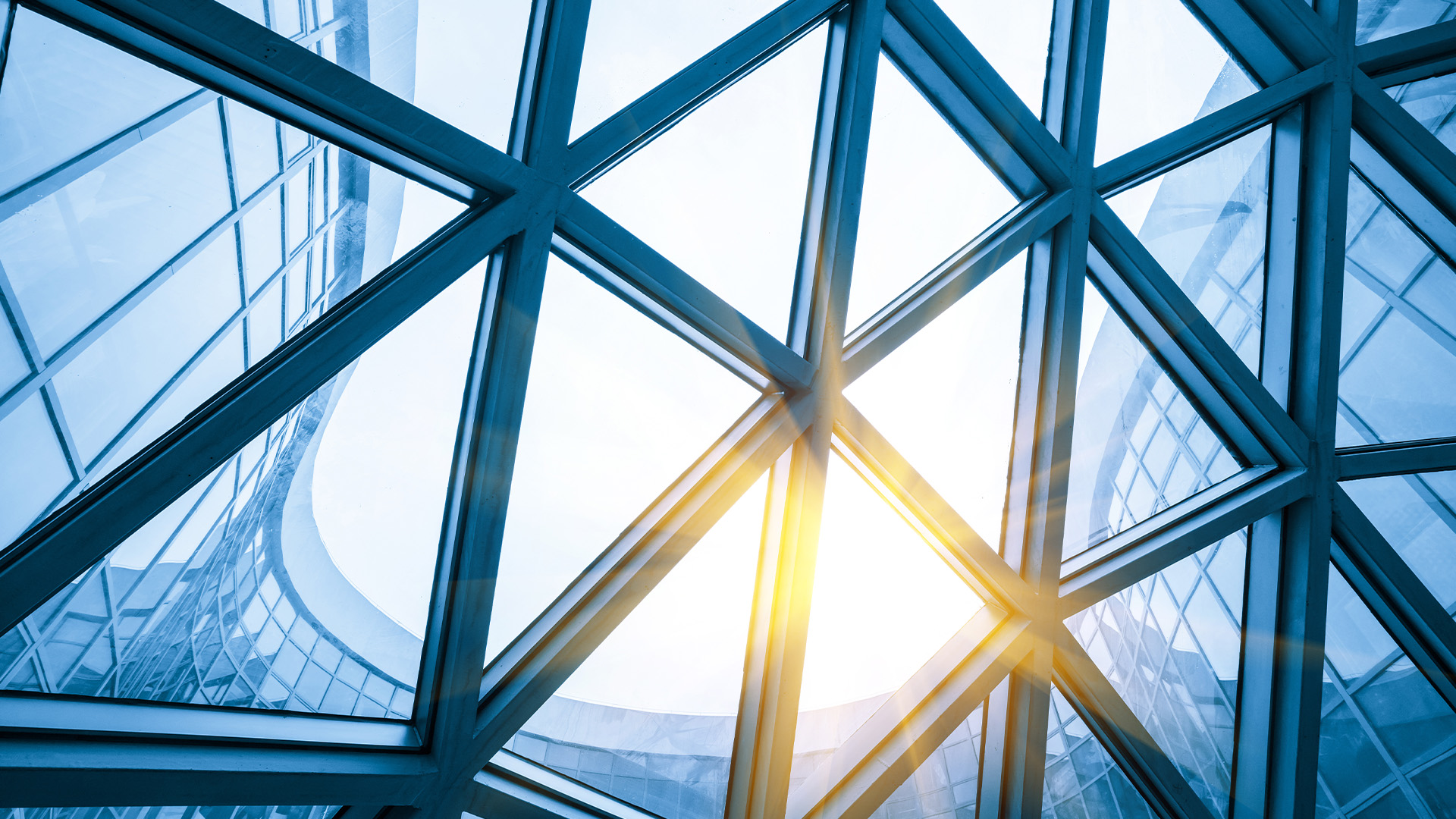 Mesh metal frame skylight in exhibition hall