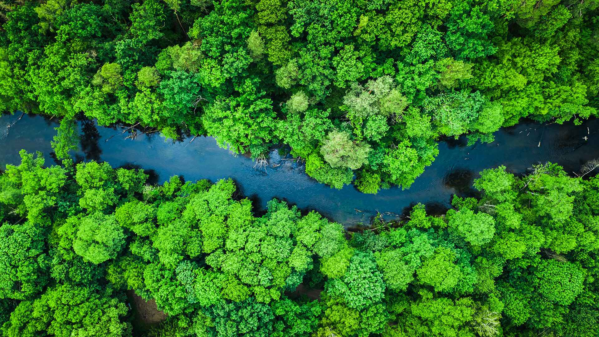 Nature-green-river-AdobeStock_291096077