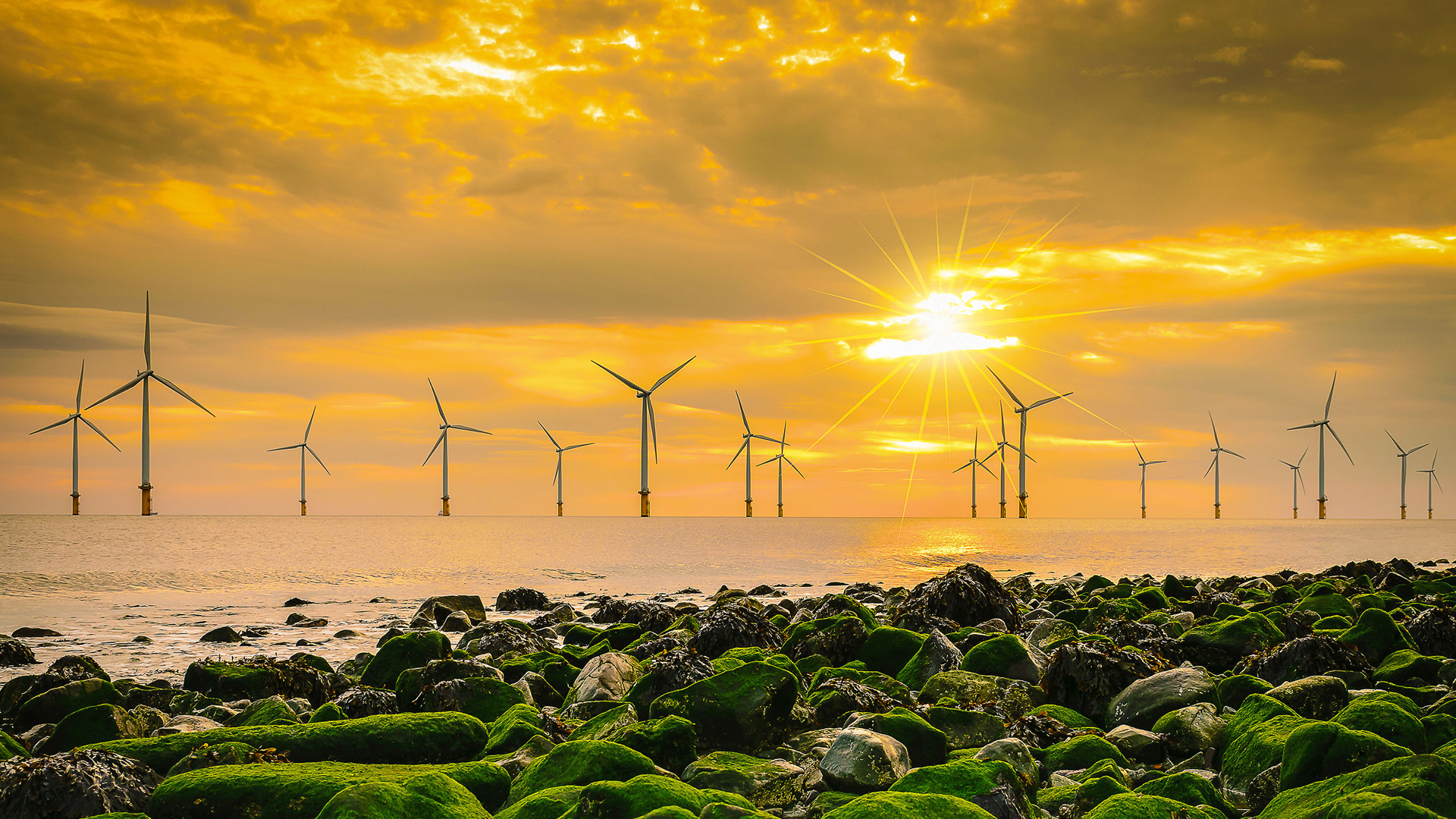 Offshore windfarm with a sunset