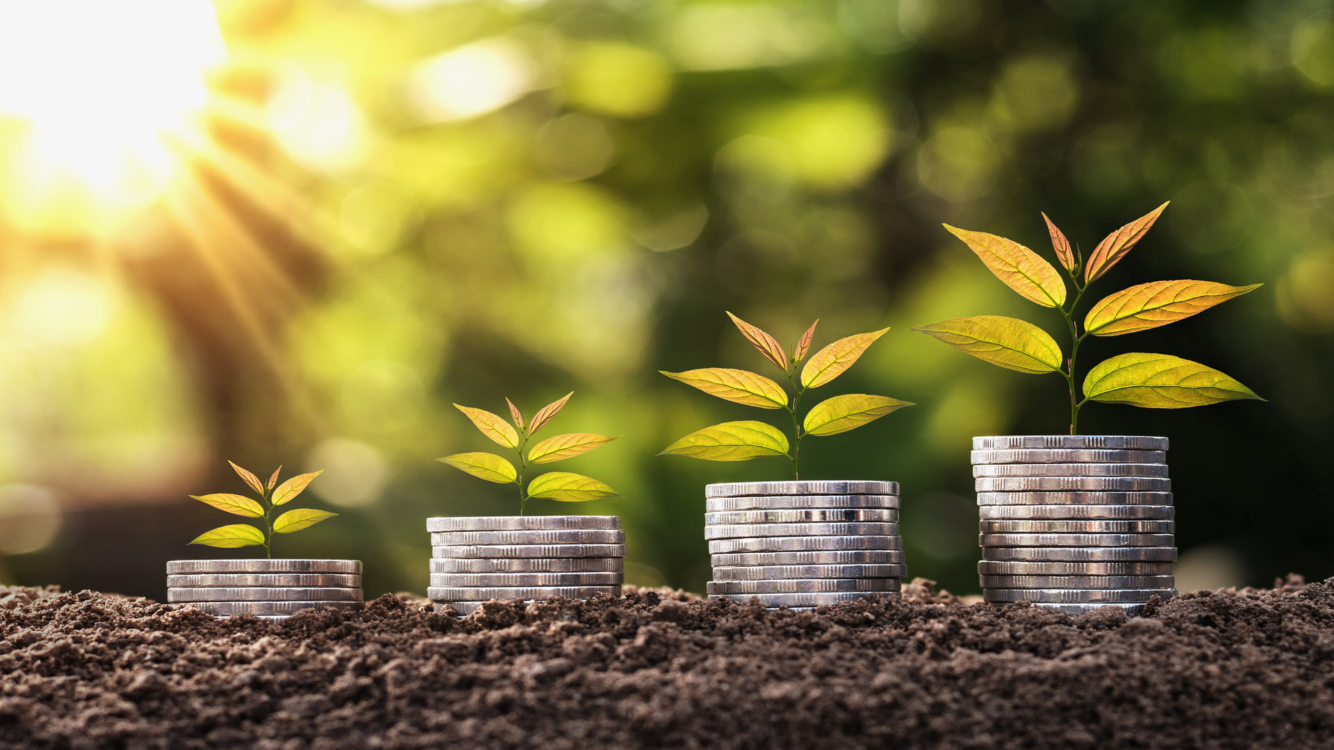 plants-on-top-of-coins