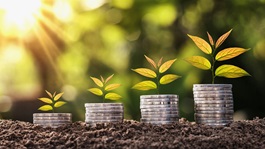 plants planted on coins