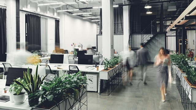 remote working office