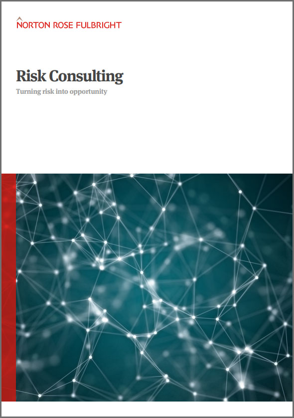 risk consulting brochure