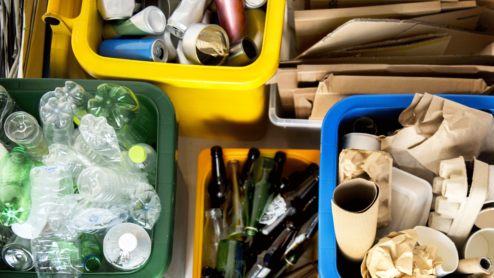 segregated waste of can plastic bottles and papers