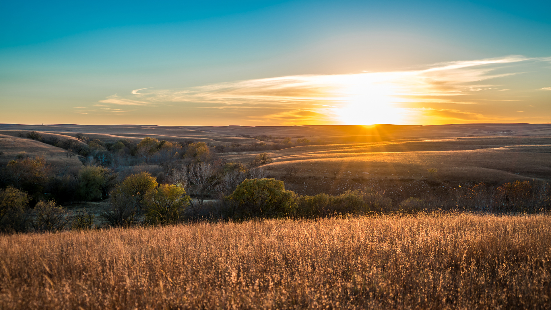 Sun field