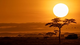 Sunset Africa