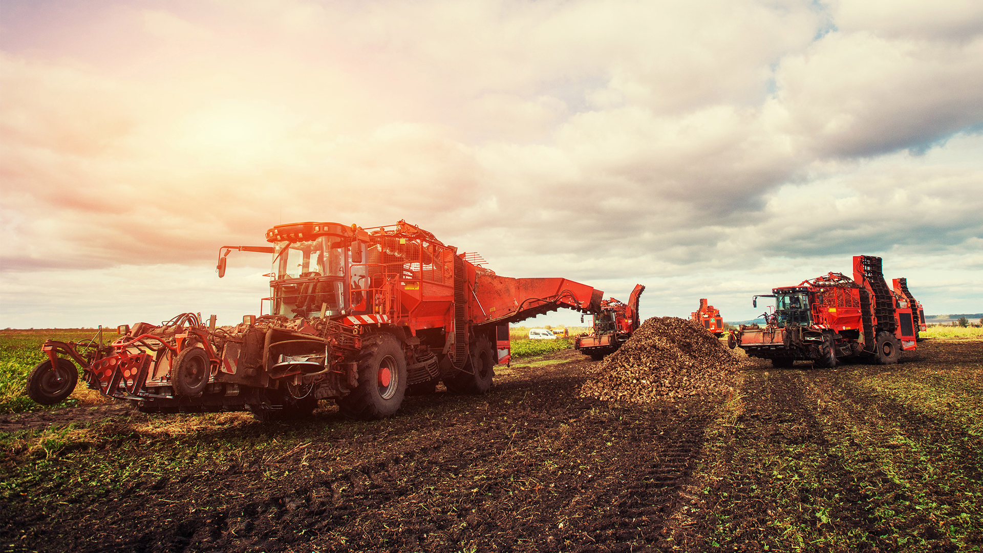 Tractors in a field