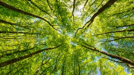 The growing importance of ESG in mergers and acquisitions
