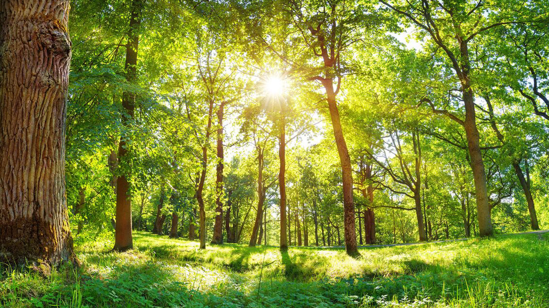 Currents Ep305: Nature as a Business Risk