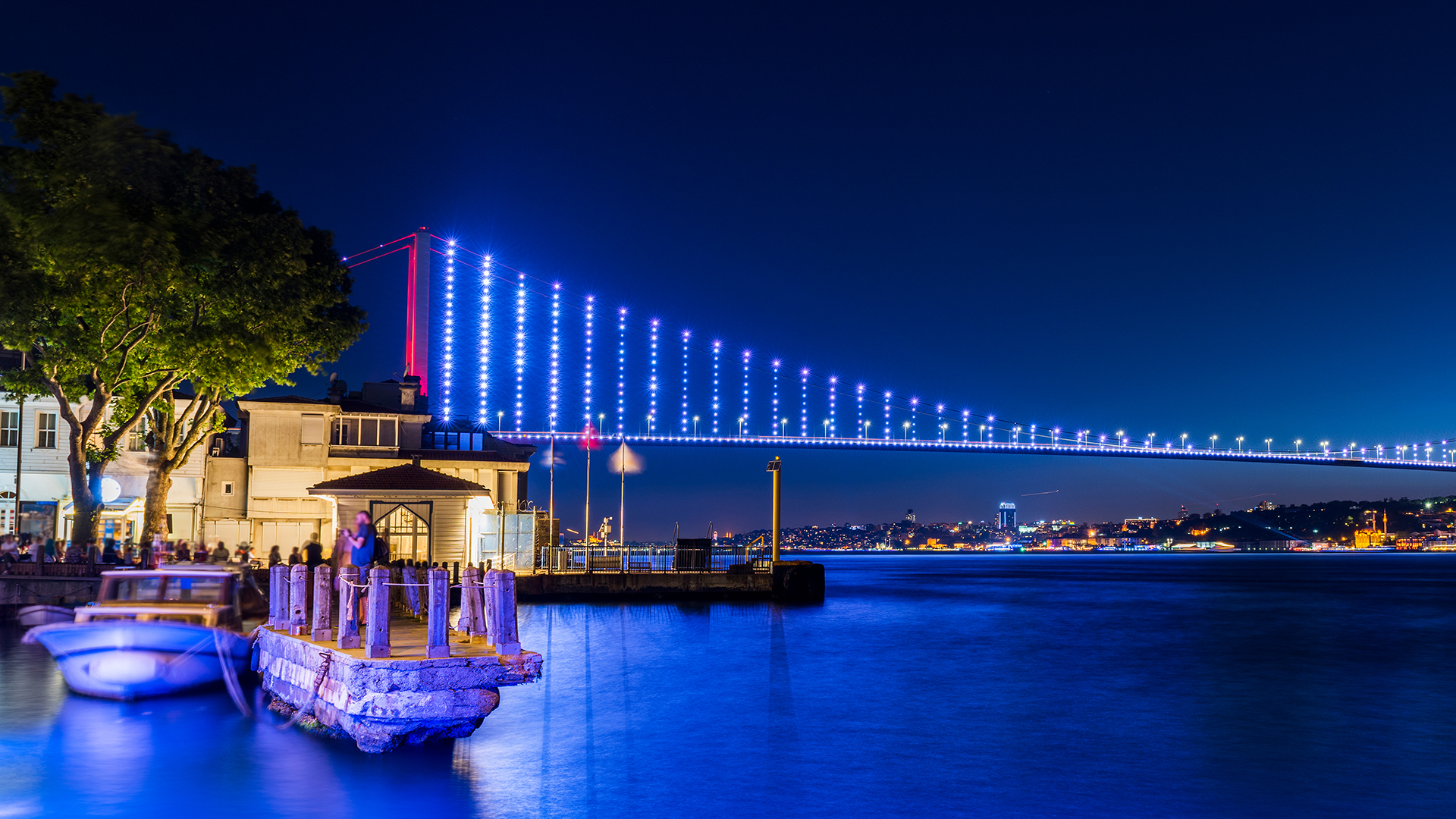 Türkiye webinar series 2025 continued with a new webinar on investigations