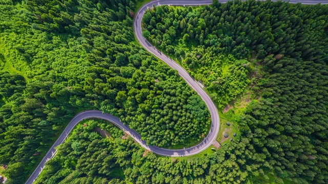 view-of-country-side-road