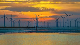Windfarm at sea during a sunset
