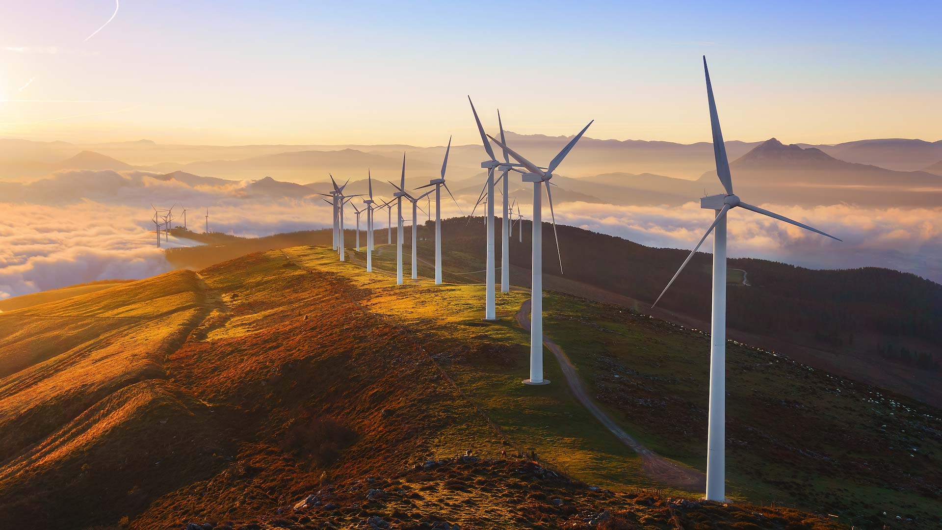 Employment law and climate change
