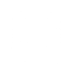 Brain icon