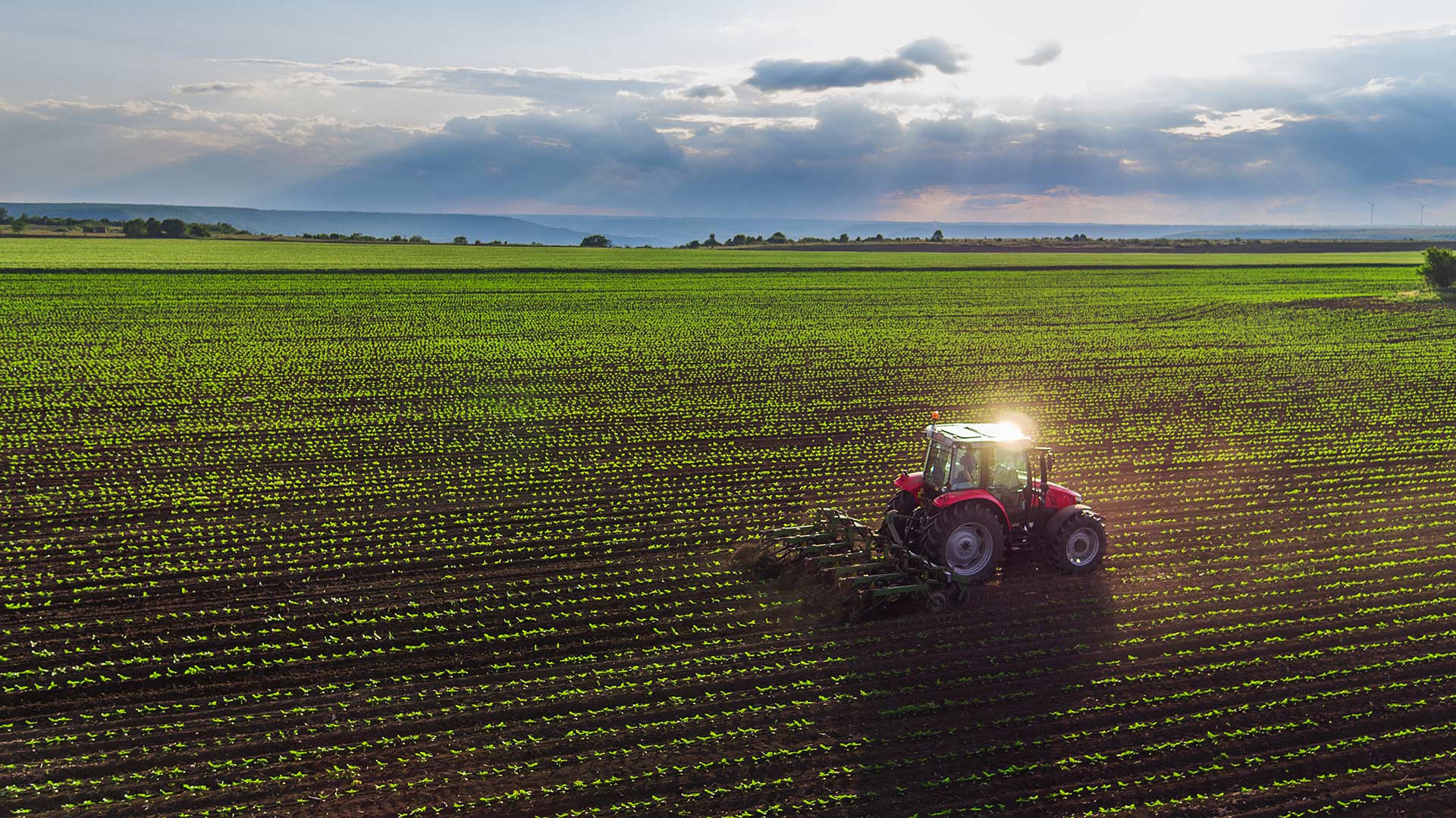 aerial shot of a red tractor ploughing a farm crop