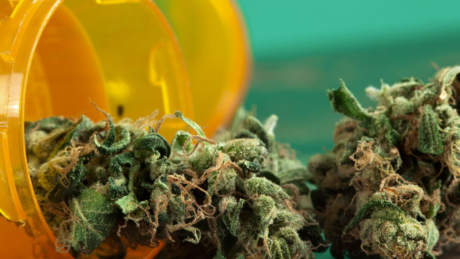 Cannabis Hero image_940x529