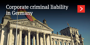 Corporate criminal liability 
