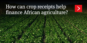  How can crop receipts help finance African agriculture? 