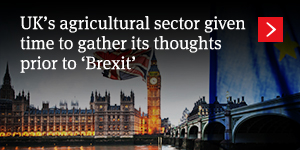  UK’s agricultural sector given time to gather its thoughts prior to ‘Brexit’ 