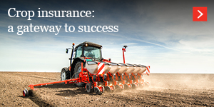  Crop insurance 