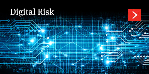  Digital risk 