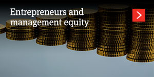  Entrepreneurs and management equity 