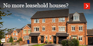  No more leasehold houses? 