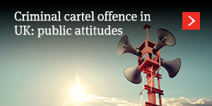  Public attitudes 