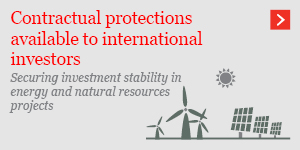  Contractual protections available to international investors 