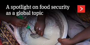  A spotlight on food security as a global topic: the critical role of investments in agriculture 
