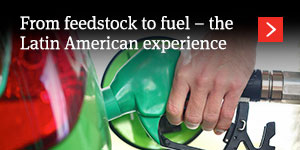  From feedstock to fuel – the Latin American experience 