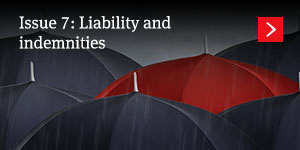  Liability and indemnities 