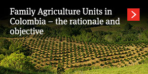  Family Agriculture Units in Colombia – the rationale and objective 