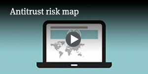  Antitrust risk map 